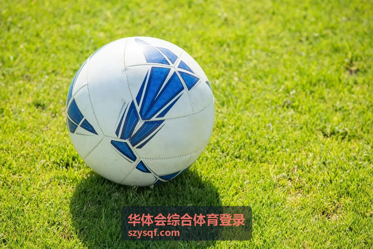 华体会综合体育登录登录操作指南页面主视觉