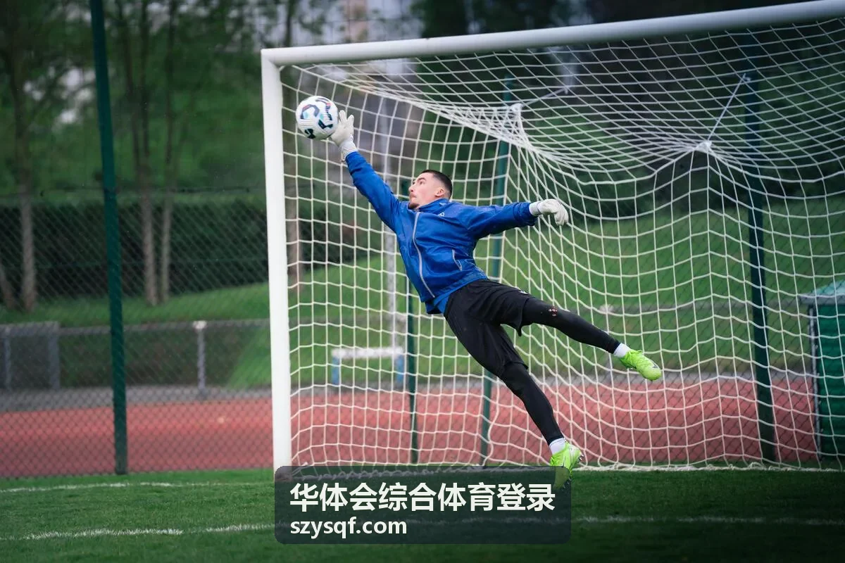 华体会综合体育登录技巧打分项目评分画面